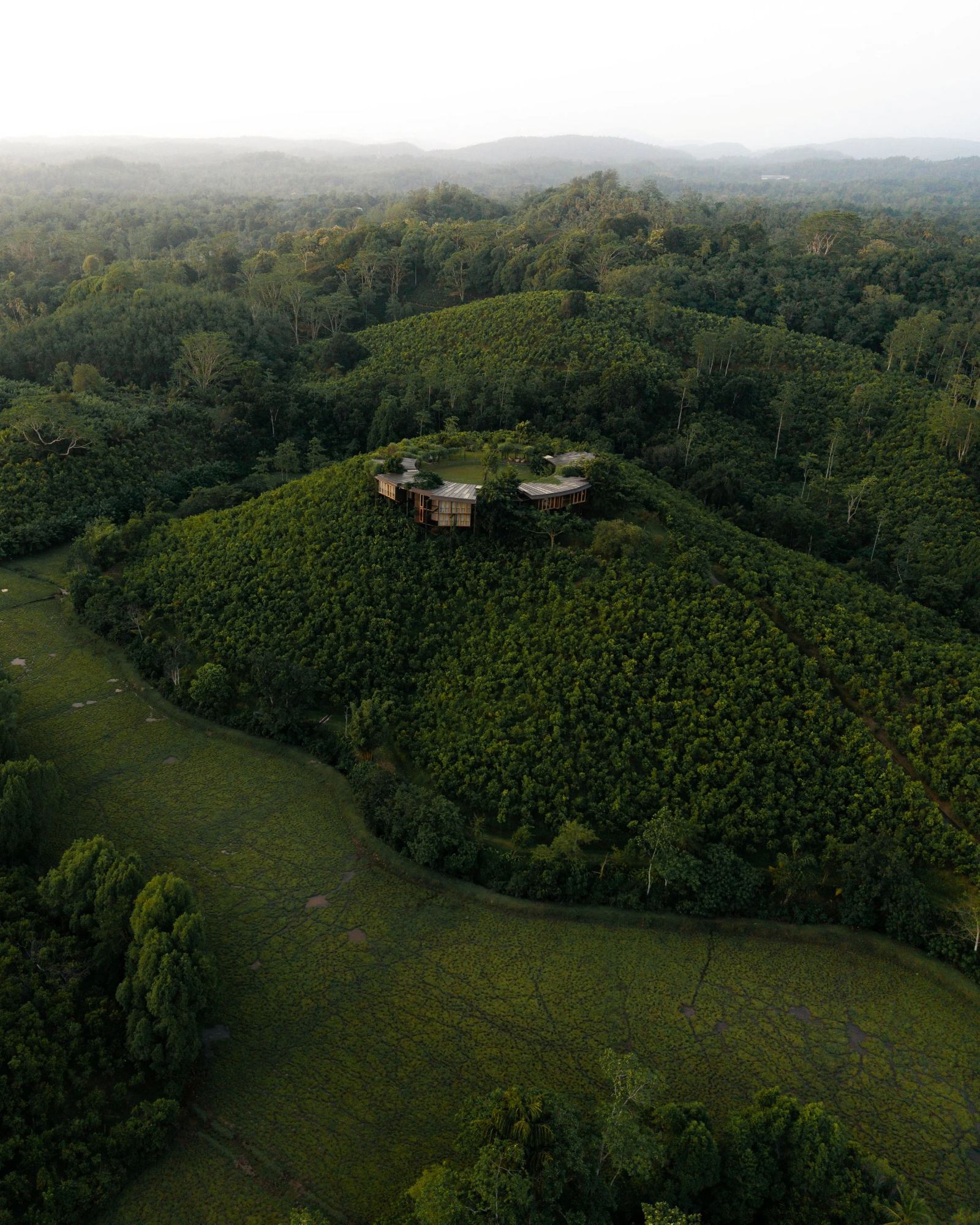 Aerial view of jungle around the Round House