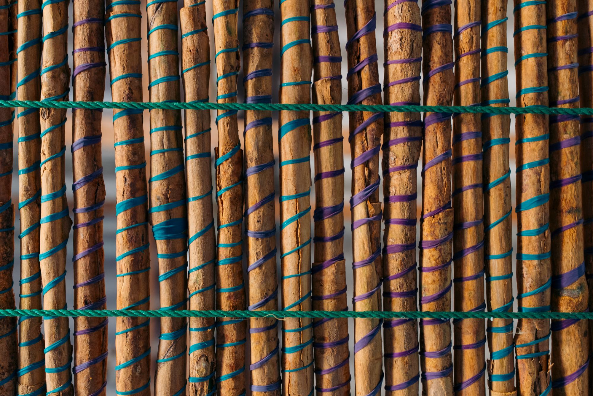 Stacked firewood on the estate