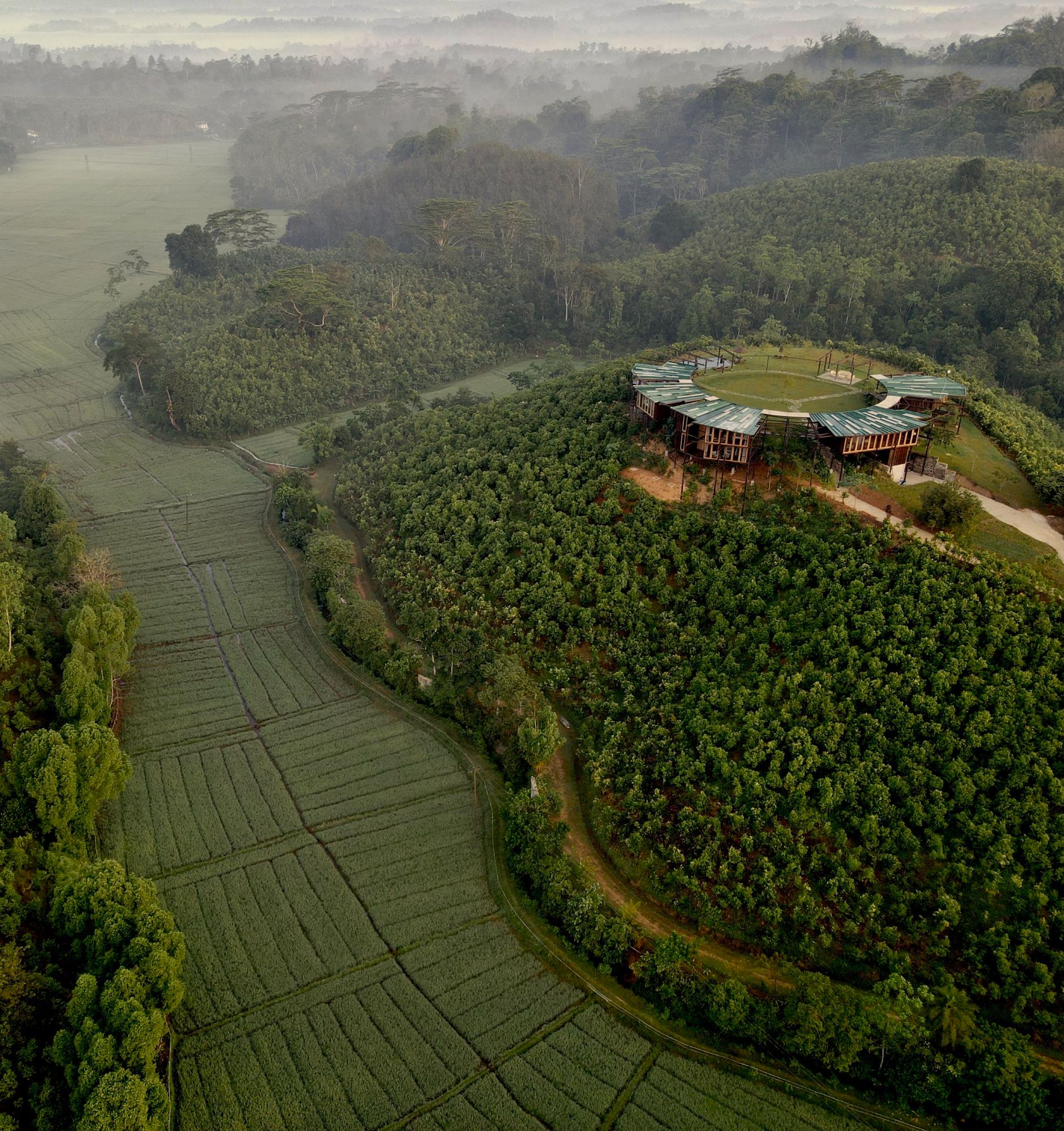 Morning mist over the paddies below the house